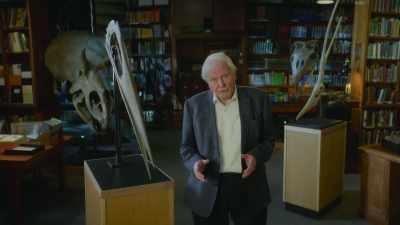During the time of the dinosaurs, - Prehistoric Planet
