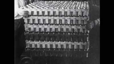 During the war, - Pet Fooled