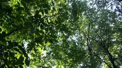 [Dustin] No, this is wilderness,
so you can't even bike. - The Disappearance of Maura Murray