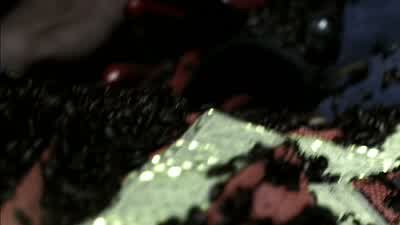 DUSTIN: Travis! - Supernatural