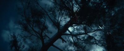 DWALIN:
It's going! - The Hobbit: An Unexpected Journey