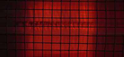 Each has an infrared
heater placed above it, - Eating Our Way to Extinction