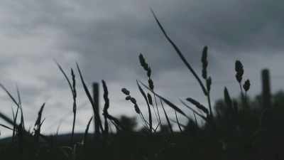 Each are beyond the scope of
normal scientific understanding. - Missing 411: The Hunted
