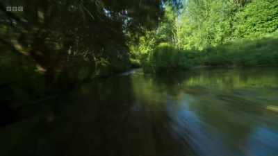 Each claims a particular
stretch of river - Wild Isles