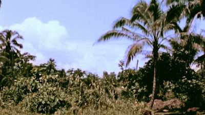EACH CONTROLLING
A MOSAIC OF TERRITORY. - The Pacific War in Color