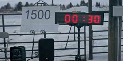 Each dog has 30 seconds - The Year of the Dog