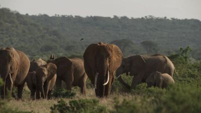 Each and every family that visits this reserve - Chasing the Rains
