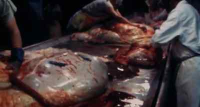 Each individual along the assembly line
has his own specialty. - Faces of Death