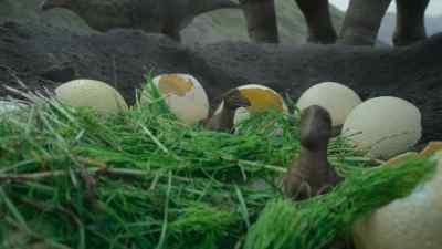 Each nest may contain over 20 youngsters. - Prehistoric Planet