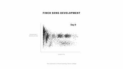 Each night, the songs get looser, - The Mind, Explained
