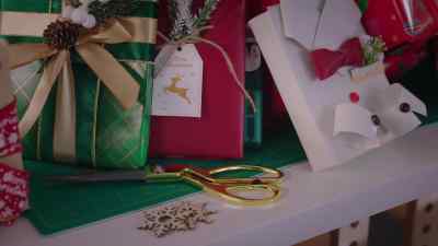 "Each of the four
dynamic college friends - Unwrapping Christmas: Lily's Destiny