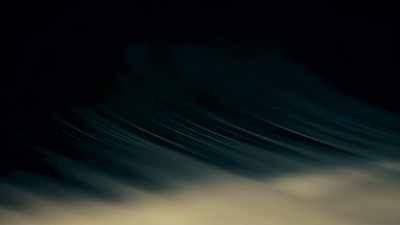  Each of those
 grooves on the record - The Interdimensional Connection