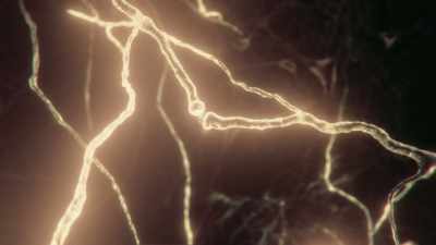 Each of us has
86 billion neurons, - Cosmos: Possible Worlds