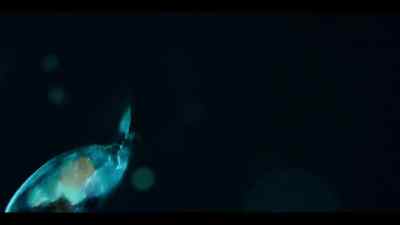 Each one smaller than a grain of rice. - Our Oceans