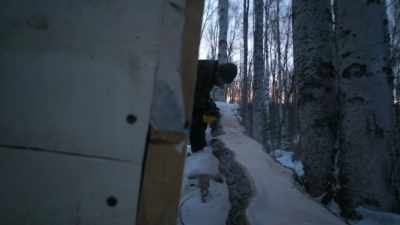 Each piece of wood that I mill - Life Below Zero: Next Generation