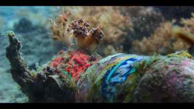 Each piece will take
hundreds of years to break down. - Our Oceans