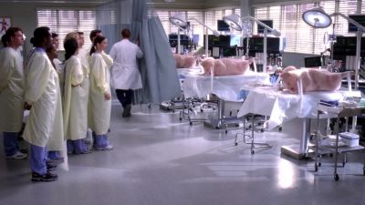 Each resident gets a
pig. Interns assist. - Grey's Anatomy