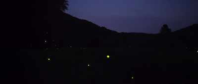 Each species creates its own
little language - Alien Worlds