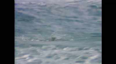‐ Each week, Dr. Roy Walford
swims two miles - Spaceship Earth