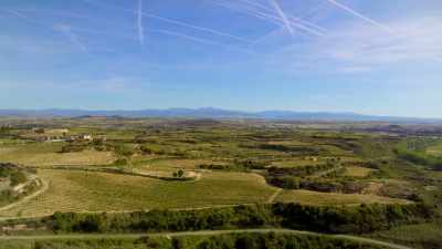 Each year, its many vineyards - Europe From Above