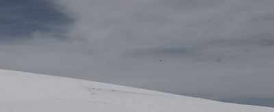 [eagle cries] - The Great Alaskan Race