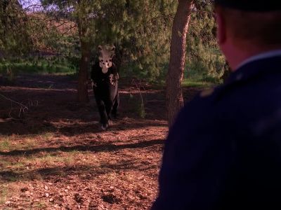 EARLE [SINGING]:
Home, home on the range - Twin Peaks