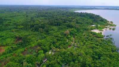 EARLY HUMANS MUST HAVE
SPREAD QUICKLY - Lost Cities of the Amazon