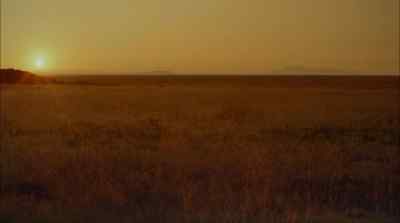 Early in the migration northward - Africa: The Serengeti