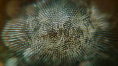 Earth's water,
it's a shape shifter, - One Strange Rock