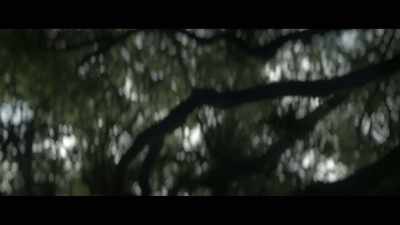 Earthworms? - Fever Dream