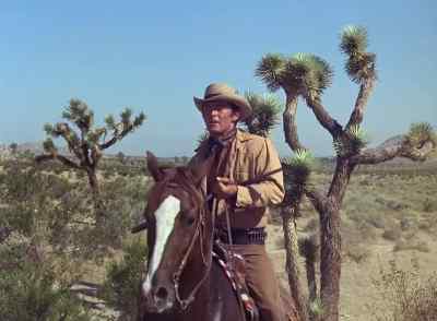 Easy, boy.
Don't tempt 'em
beyond reason. - Winchester '73
