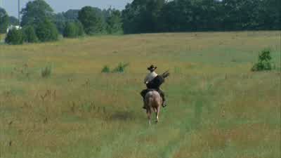 Easy. Easy, boy. Easy, easy, easy. - The Walking Dead