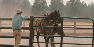 Easy. Easy. - Yellowstone