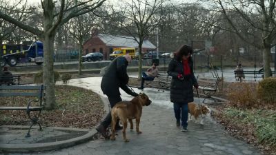 Easy, easy, easy. - Law & Order: Organized Crime