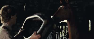 Easy, easy... - War Horse