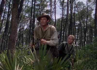 Easy, girl. Easy! - The Yearling