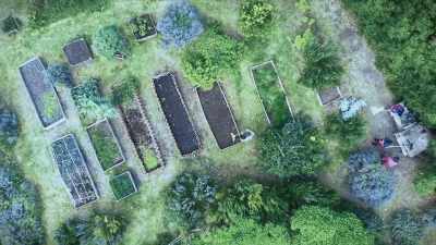 Easy--go farm to table with a home garden. - Zombies! Prepping for the Apocalypse