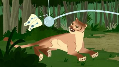 Easy kitty! Nice kitty! - Wild Kratts