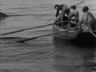 Easy now. Slack up that line to me. - Man of Aran