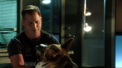Easy. - CSI: Crime Scene Investigation
