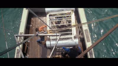 Easy. Up she goes. Ease her up. - Jaws