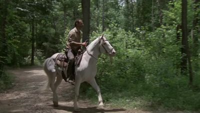 Easy. Whoa. Whoa. - The Walking Dead