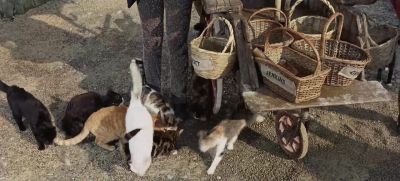 Eat hearty me lovelies - Doctor Dolittle