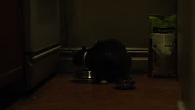Eat it, you little bastard. - Marvel's Daredevil
