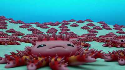 Eat it up. - Octonauts and the Great Barrier Reef