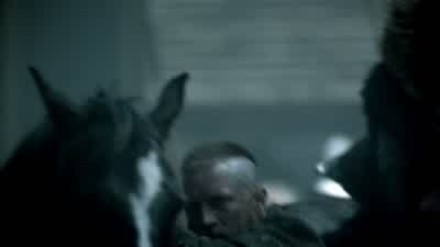ECBERT: Welcome near! - Vikings