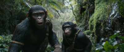 Echo do not come in from Valley. - Kingdom of the Planet of the Apes