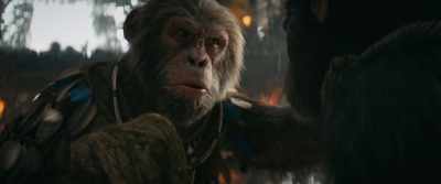 Echoes only bring trouble. - Kingdom of the Planet of the Apes