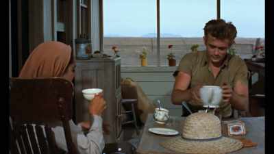Echoing her role in "Giant,"
Taylor often gravitated - Rock Hudson: All That Heaven Allowed