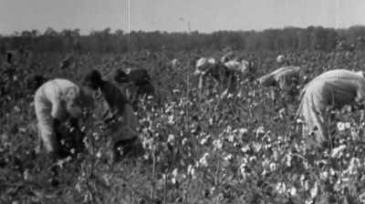Economic opportunities
for african americans - The Green Book: Guide to Freedom